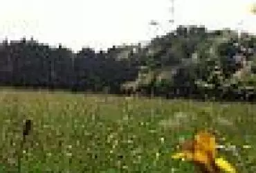 Як живе англійське село - фото-звіт Як живе англійське село - фото-звіт