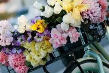 Про переваги покупки квітів в інтернеті Про переваги покупки квітів в інтернеті